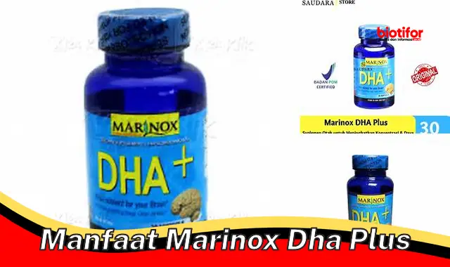 manfaat marinox dha plus