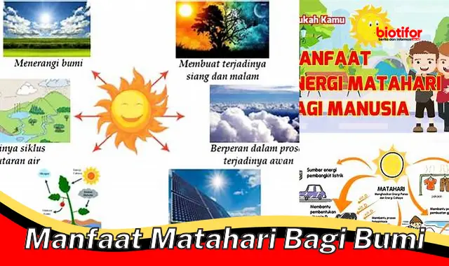 manfaat matahari bagi bumi