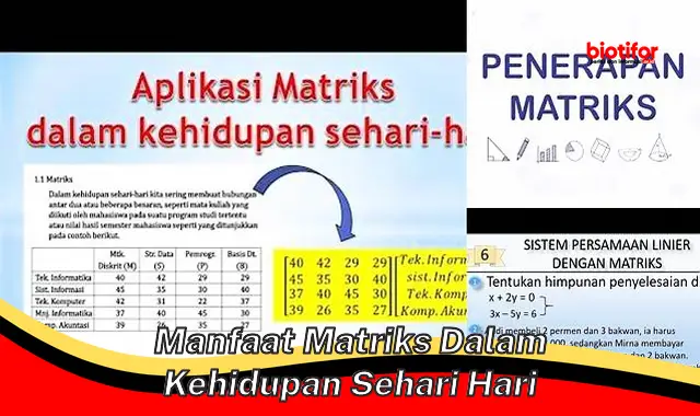 manfaat matriks dalam kehidupan sehari hari