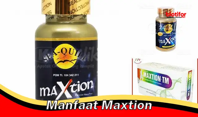 manfaat maxtion