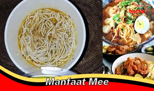 manfaat mee