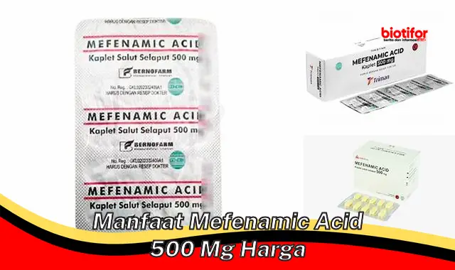 manfaat mefenamic acid 500 mg harga