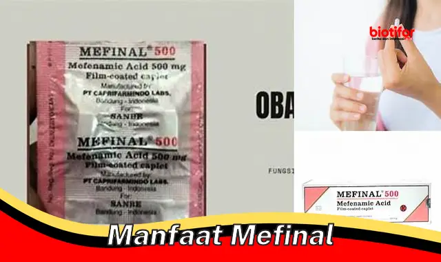 manfaat mefinal