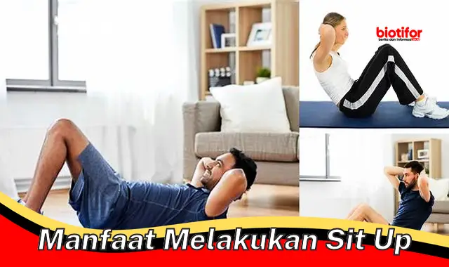 manfaat melakukan sit up