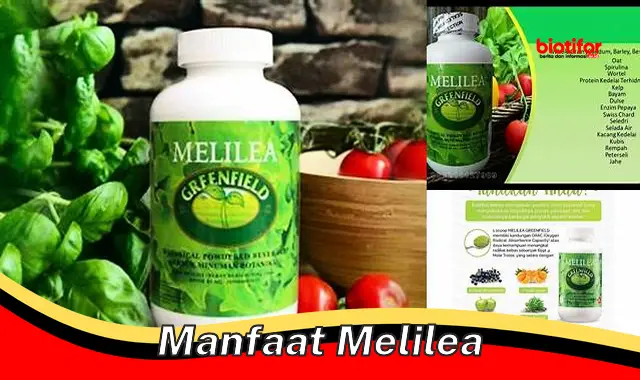 manfaat melilea