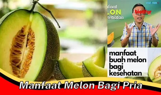 manfaat melon bagi pria