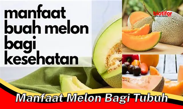 Mengenal Manfaat Melon Bagi Tubuh yang Jarang Diketahui