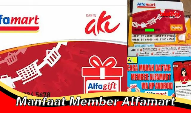 Temukan Manfaat Member Alfamart yang Jarang Diketahui