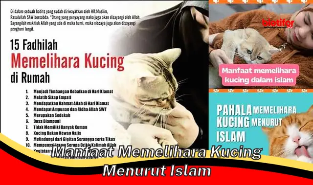 Temukan Manfaat Memelihara Kucing dalam Pandangan Islam yang Jarang Diketahui