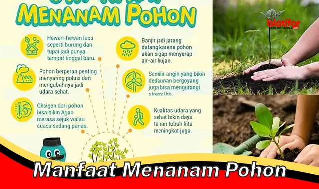 manfaat menanam pohon