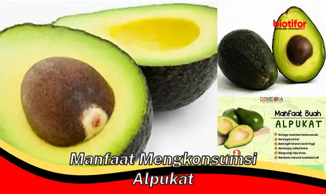 manfaat mengkonsumsi alpukat