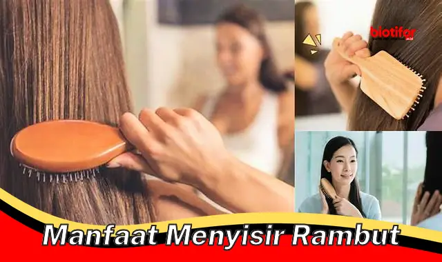 manfaat menyisir rambut