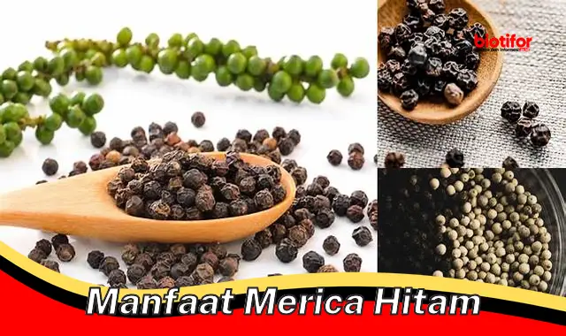 manfaat merica hitam