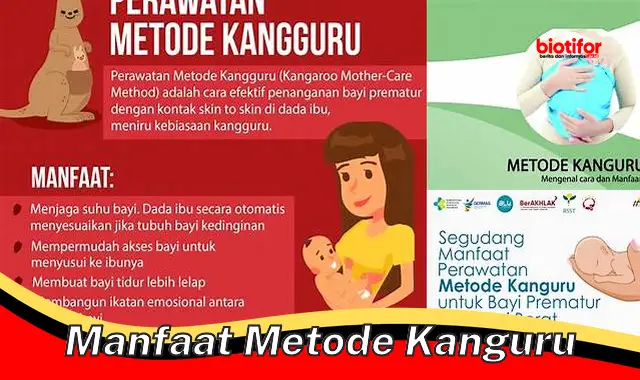 Temukan Manfaat Metode Kanguru yang Belum Banyak Diketahui