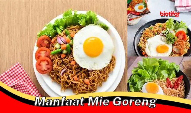 manfaat mie goreng