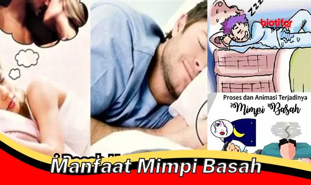 manfaat mimpi basah