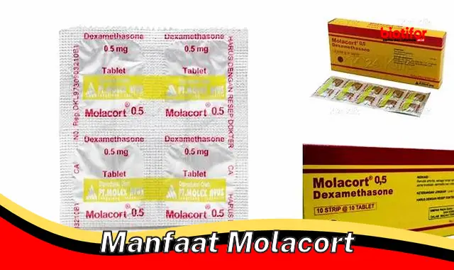 manfaat molacort