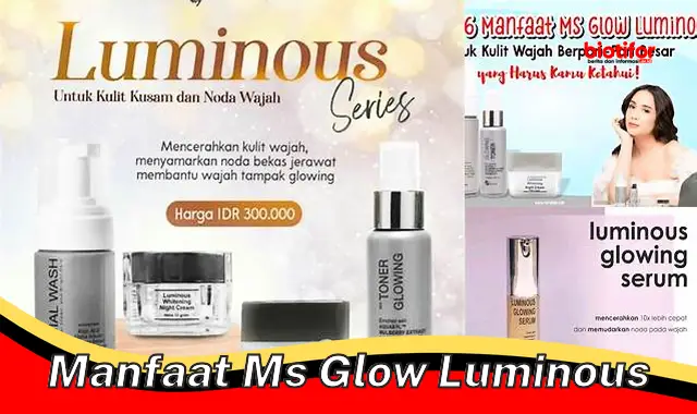 manfaat ms glow luminous