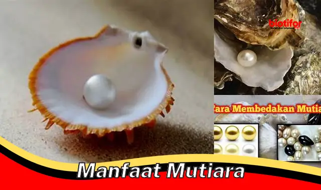 manfaat mutiara