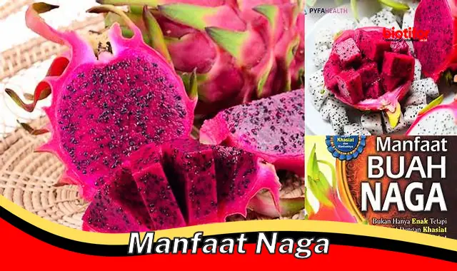 manfaat naga