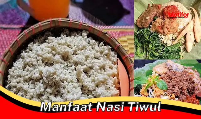 manfaat nasi tiwul