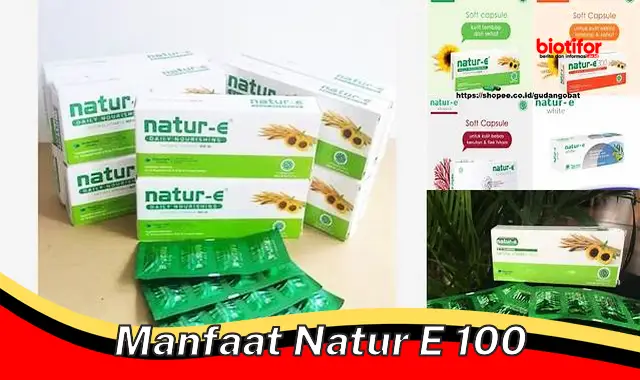 Temukan Manfaat Natur E 100 yang Jarang Diketahui