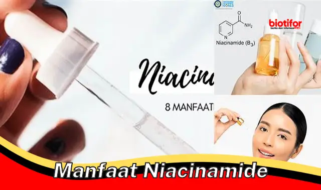 manfaat niacinamide