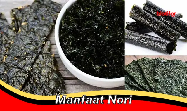 manfaat nori