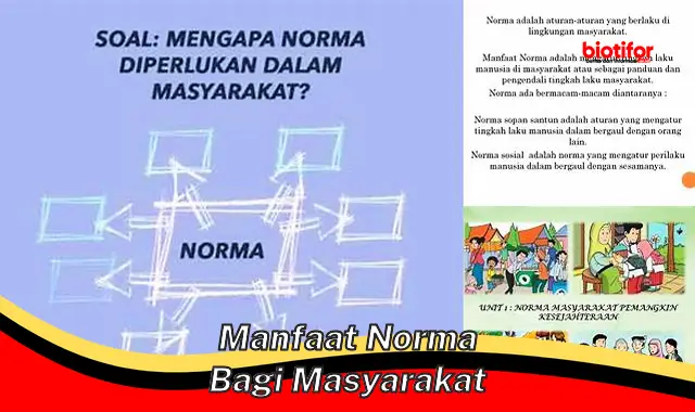 Temukan Manfaat Norma yang Jarang Diketahui Bagi Masyarakat