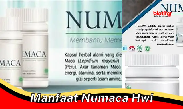 manfaat numaca hwi