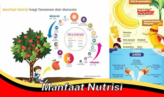 manfaat nutrisi