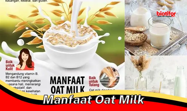 manfaat oat milk