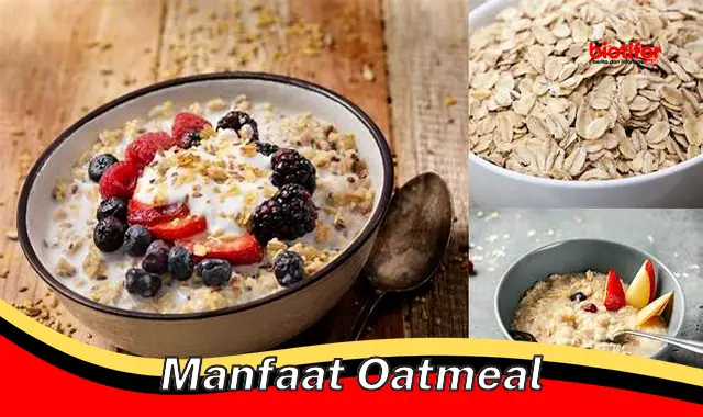 Temukan 5 Manfaat Oat yang Jarang Diketahui