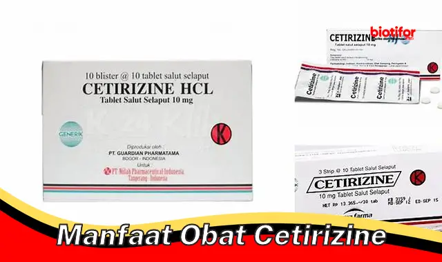 Temukan 5 Manfaat Obat Cetirizine yang Jarang Diketahui