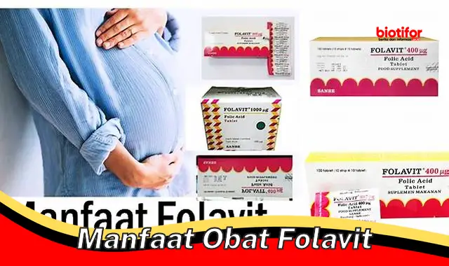 manfaat obat folavit