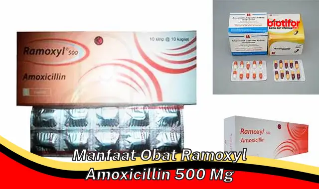 manfaat obat ramoxyl amoxicillin 500 mg