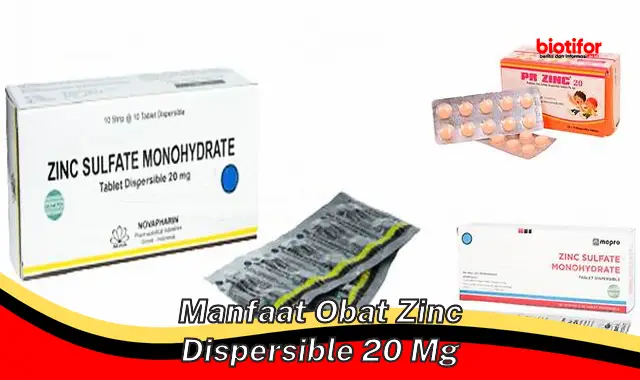 manfaat obat zinc dispersible 20 mg