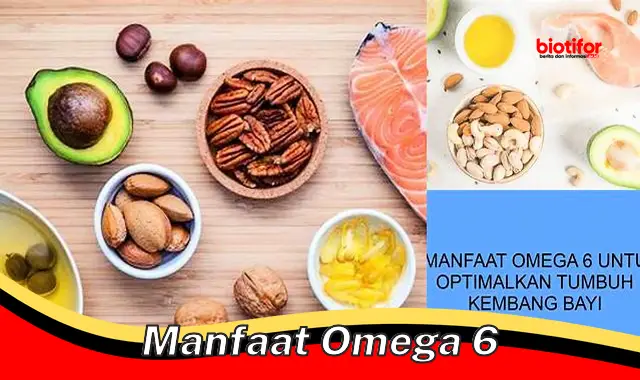 manfaat omega 6