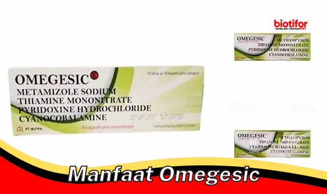 manfaat omegesic