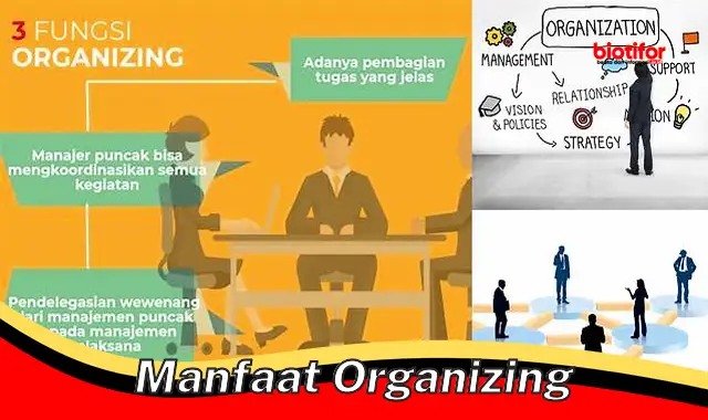 manfaat organizing