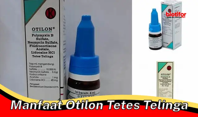 manfaat otilon tetes telinga