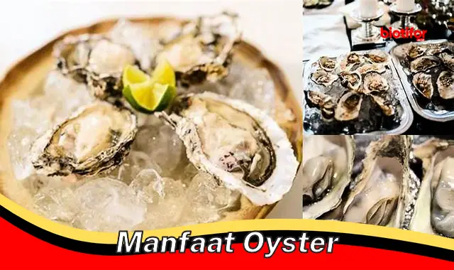 manfaat oyster