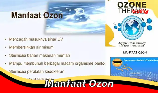 manfaat ozon