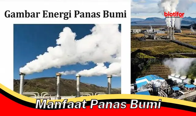 manfaat panas bumi