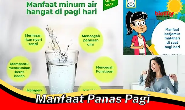 Temukan Rahasia Manfaat Panas Pagi yang Jarang Diketahui