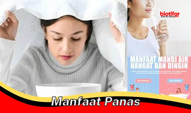 manfaat panas