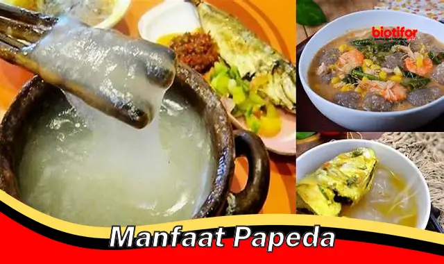 manfaat papeda