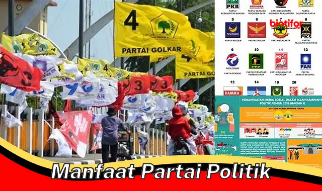 manfaat partai politik