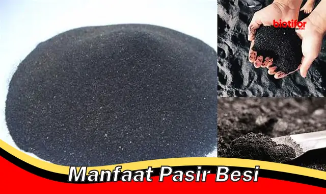 manfaat pasir besi