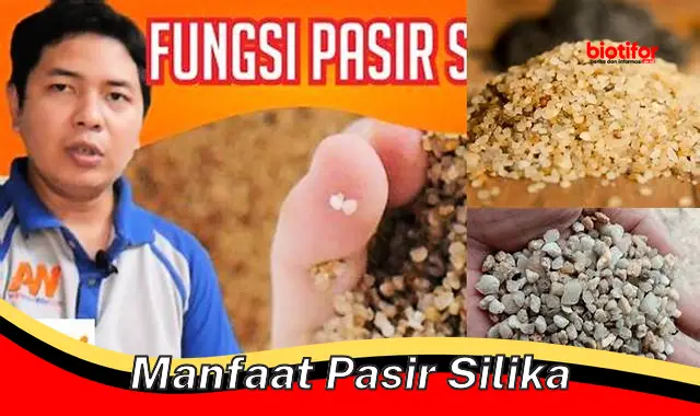 manfaat pasir silika